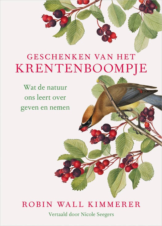 Geschenken van het&nbsp;Krentenboompje